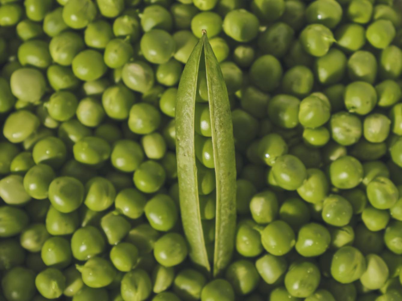 Close-up of hands preparing fresh herbs and vegetables with professional guidance